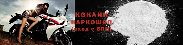 шишки Семёнов