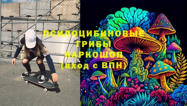 шишки Семикаракорск