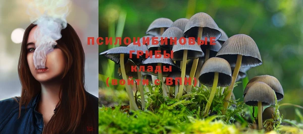 каннабис Баксан